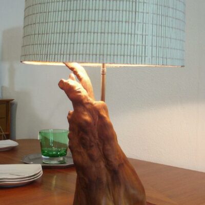 Vintage Cypress Knee / Cypress Point Lamp