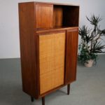 Mid Century Modern Enclosed Bookcase