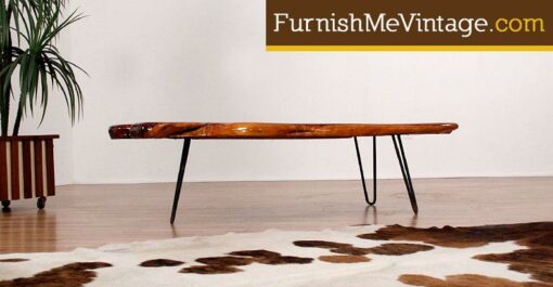 Vintage Wood Slab Coffee Table with Coral Reef