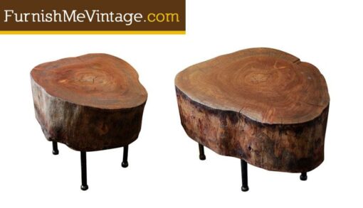 Set of (2) Orchid Tree Slab Tables or Stools