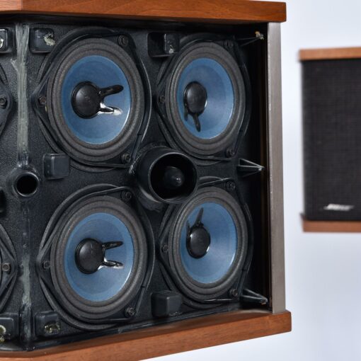 Bose 901 Series V Speakers with Tulip Stands and Equalizer