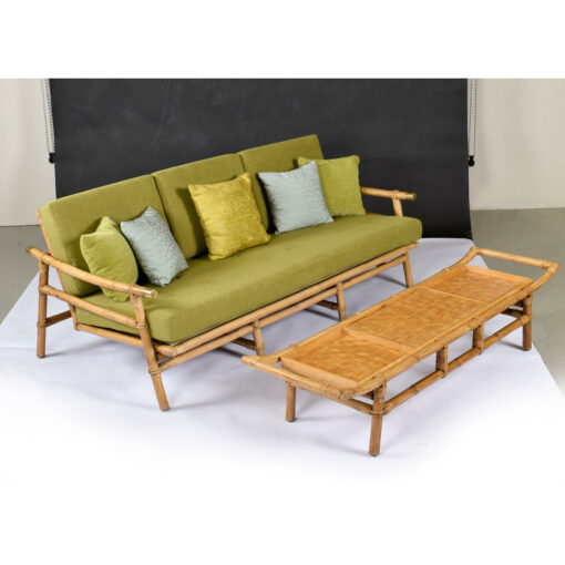 Ficks Reed Far Horizons sofa and coffee table