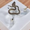 Acrylic brass cobra snake executive pen holder