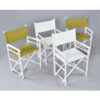 Group of white and green rattan directors chairs
