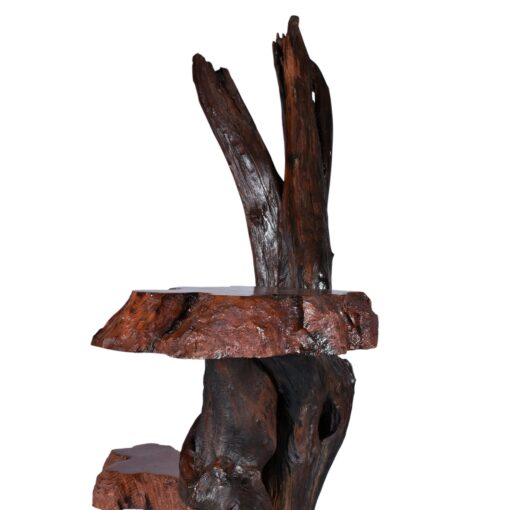 Live edge rustic tree pedestal