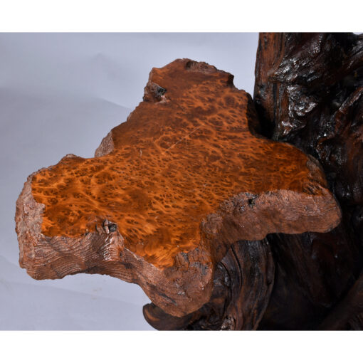 Live edge rustic tree pedestal