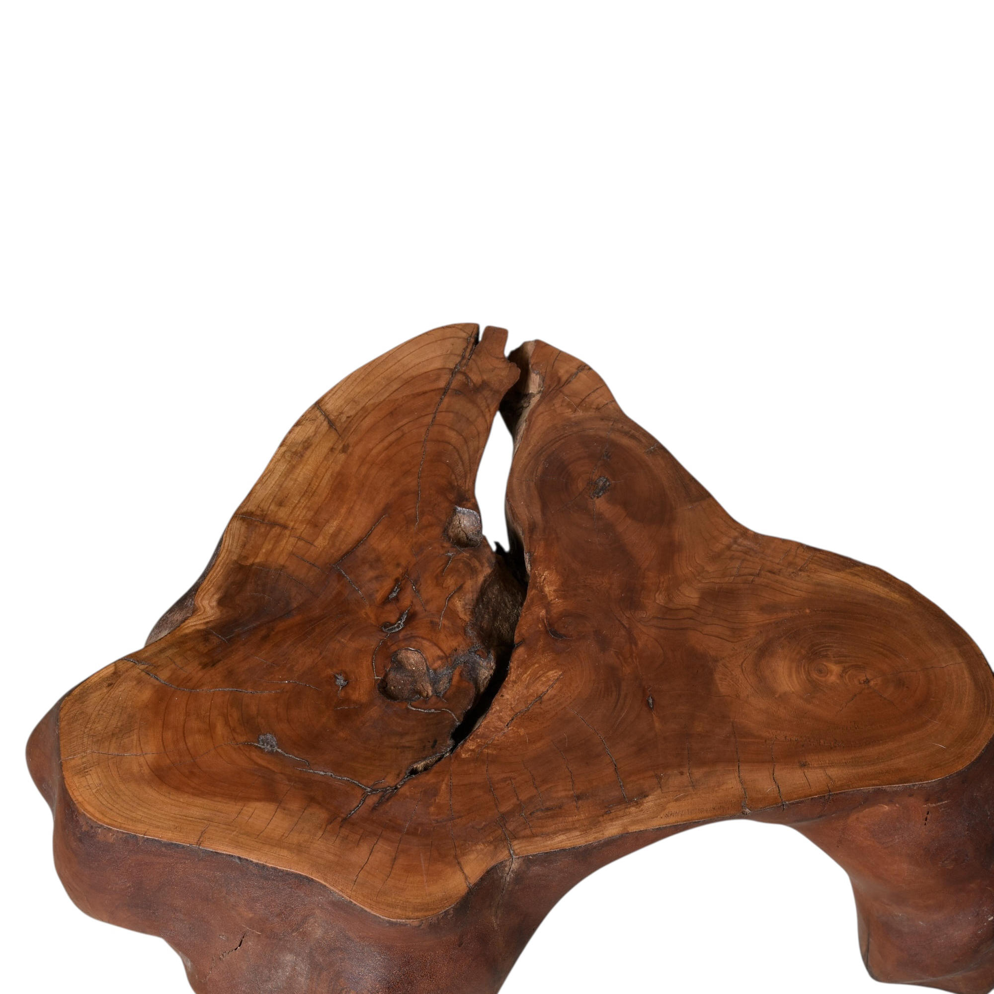 Rustic solid wood tree root end table